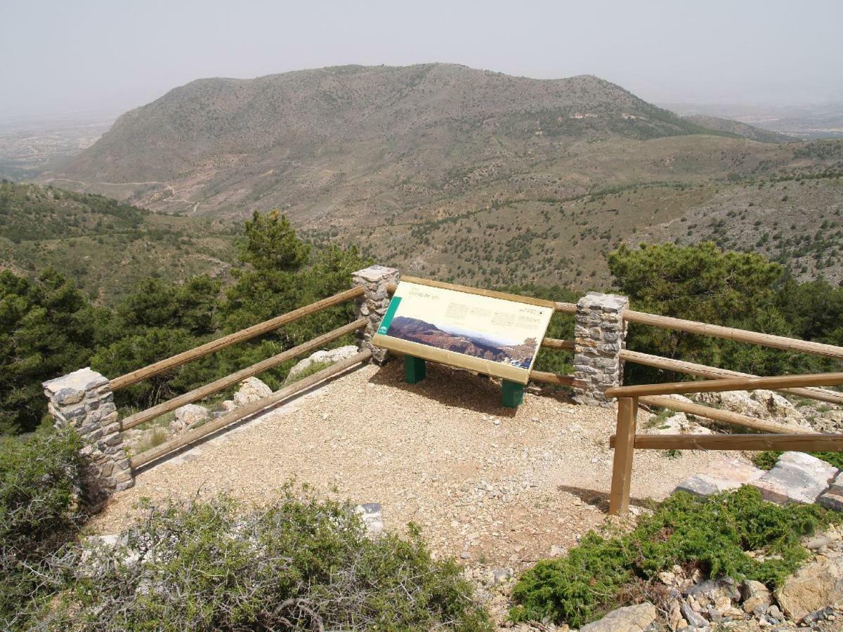 Cuevas Adonia Freila