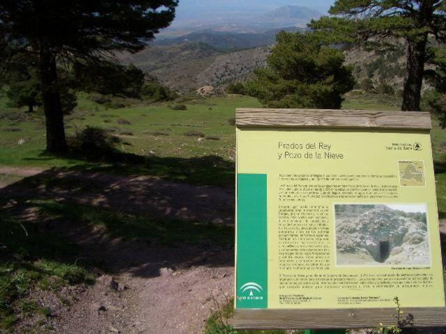 Cuevas Adonia