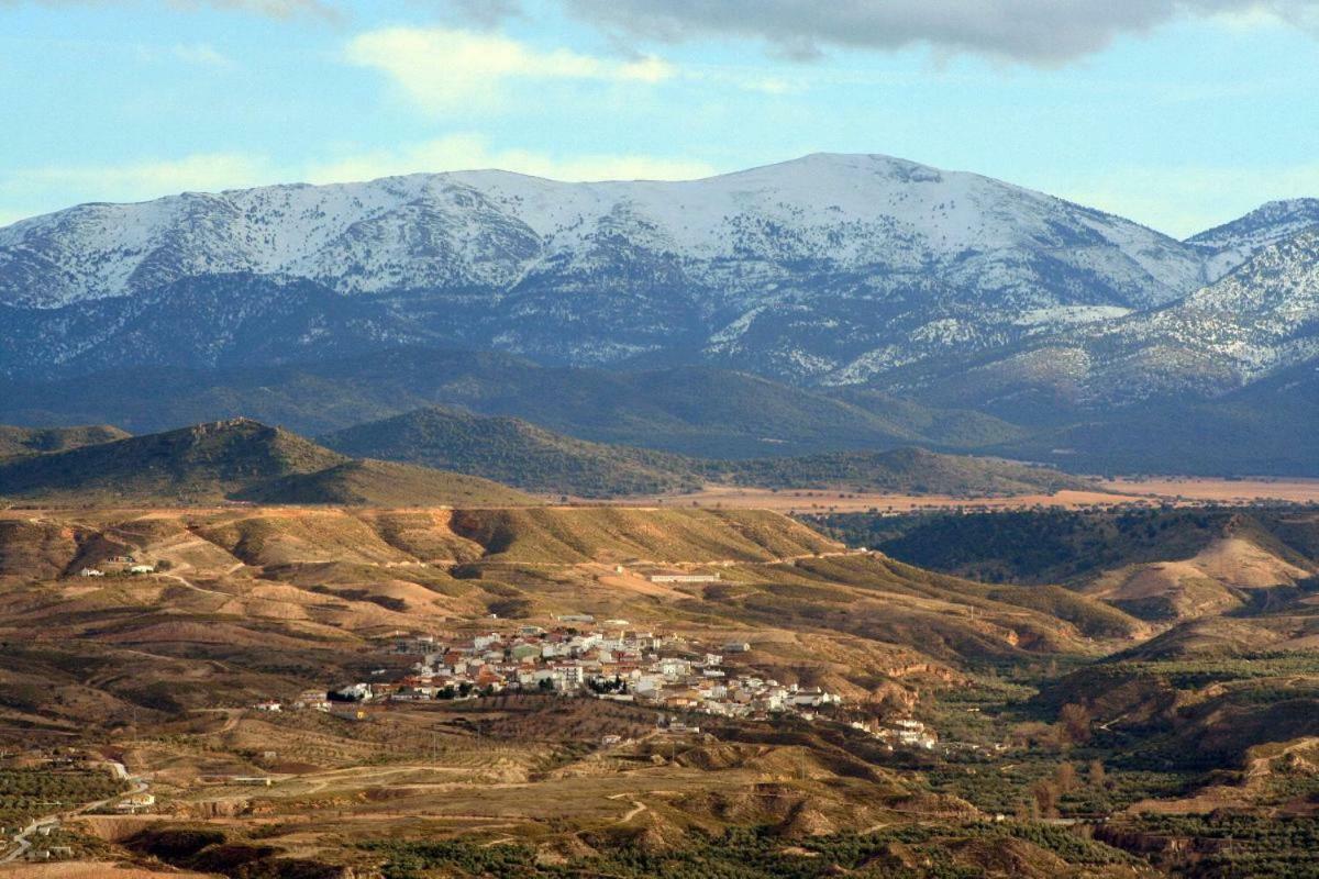 Cuevas Adonia *